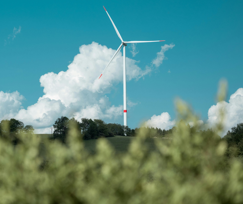 Carbon credits: a step towards a sustainable future